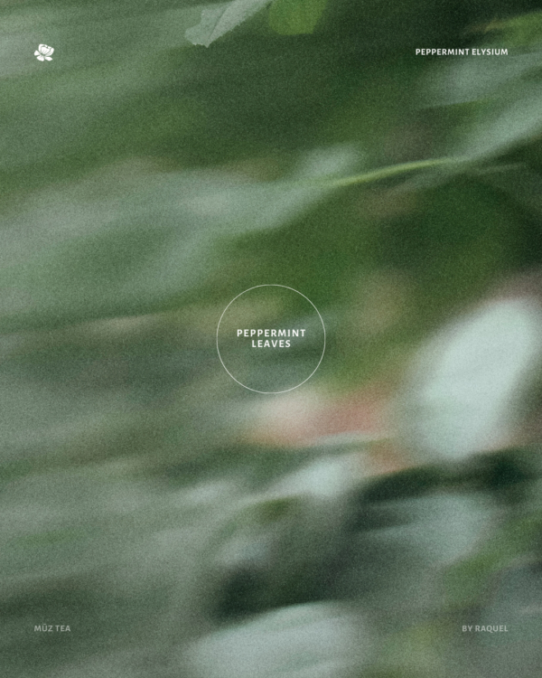 Peppermint Elysium - Image 4